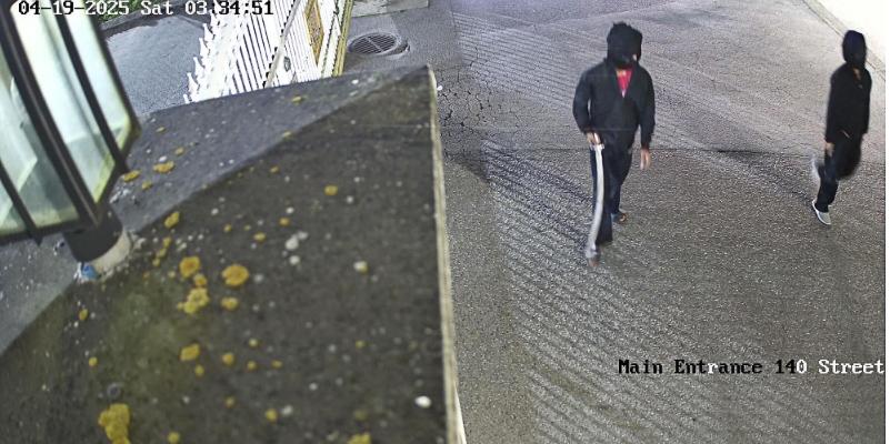 Suspect Image 1