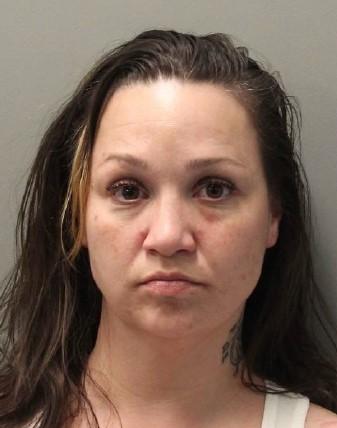 SPS - Missing Person - Nicholson